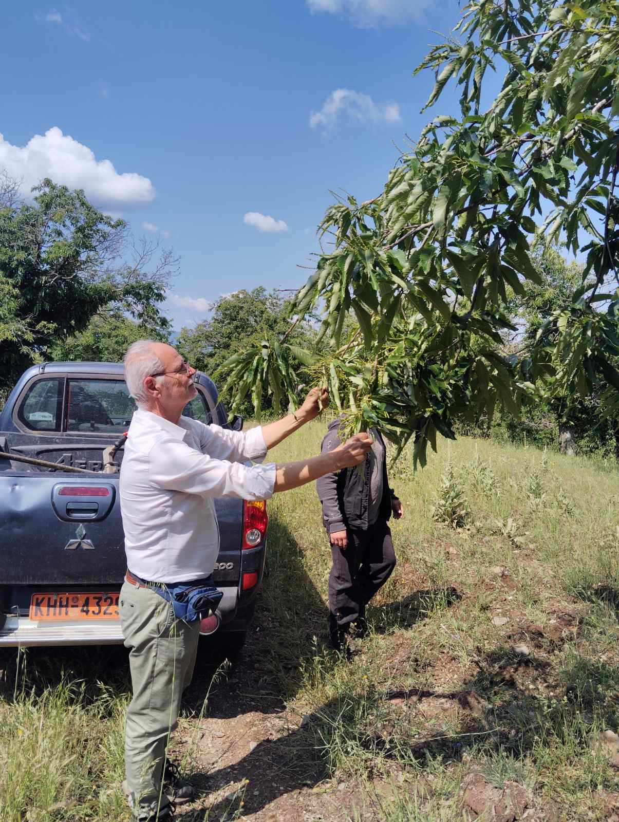 Αυτοψία Κλιμακίου ΕΛΓΑ για ζημιές σε Σελλασία, Καρυές και Βαρβίτσα 