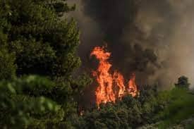 Χώροι φιλοξενίας πληγέντων από τις πυρκαγιές