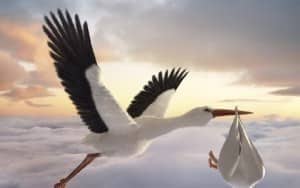 Τα μωρά τα φέρνει ο πελαργός