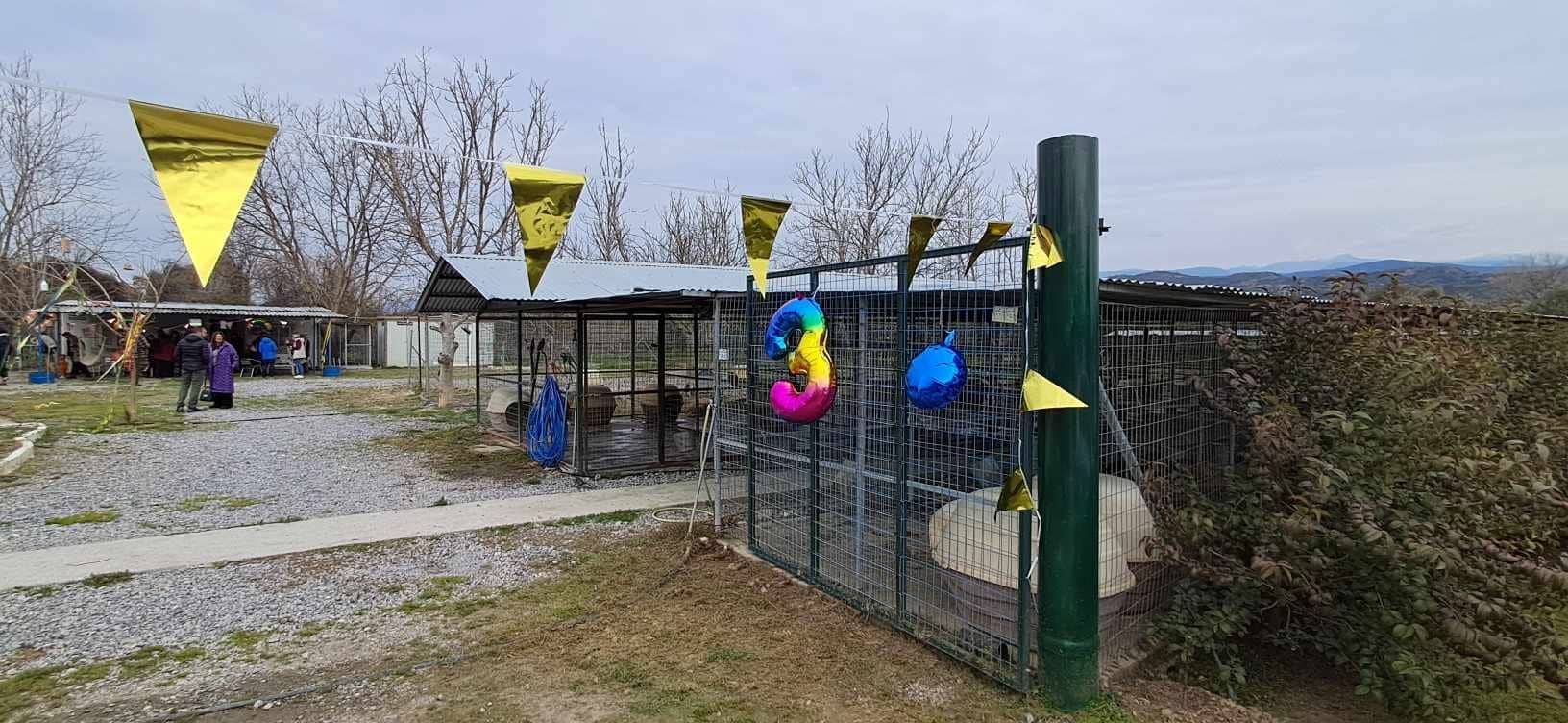 Πρωτοχρονιάτικη πίτα Αγάπης και Ευαισθησίας στο Καταφύγιο Ζώων Συντροφιάς του Δήμου Σπάρτης