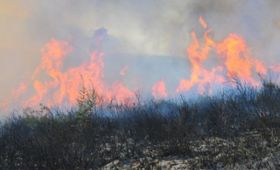 Aγροτοδασικές πυρκαγιές εντός των ορίων του Δήμου Σπάρτης