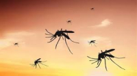 Προφυλάξου από τα κουνούπια - Οδηγίες του ΕΟΔΥ