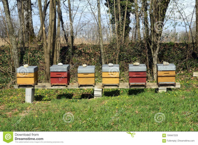 Ανακοίνωση για τους μελισσοκόμους