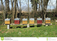 Ανακοίνωση για τους μελισσοκόμους